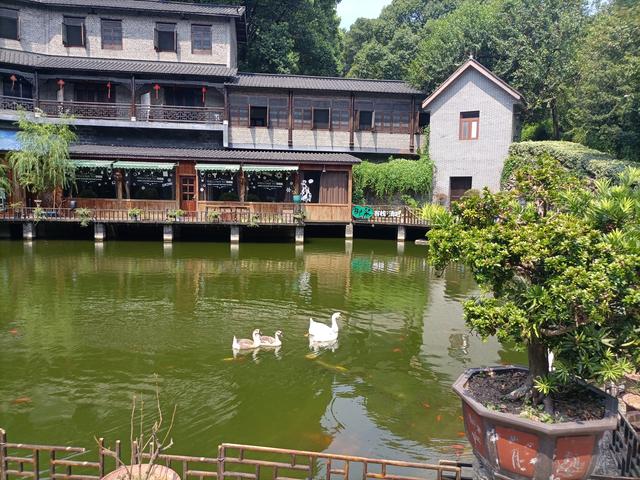 长沙市内十大公园，长沙本地人告诉你这10个地方不能少