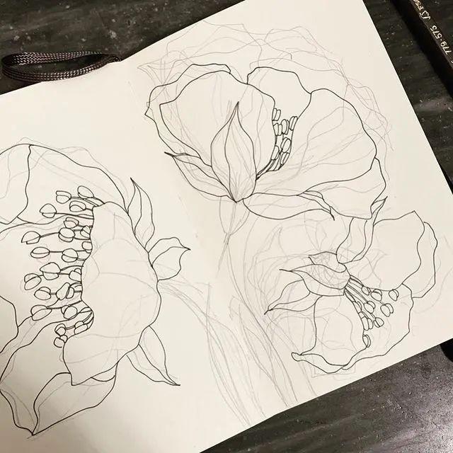 妙笔生花水墨画教程，教科书级别的植物线描