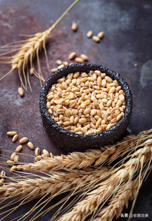 天高云淡五谷丰登都与什么有关，人人祈求五谷丰登