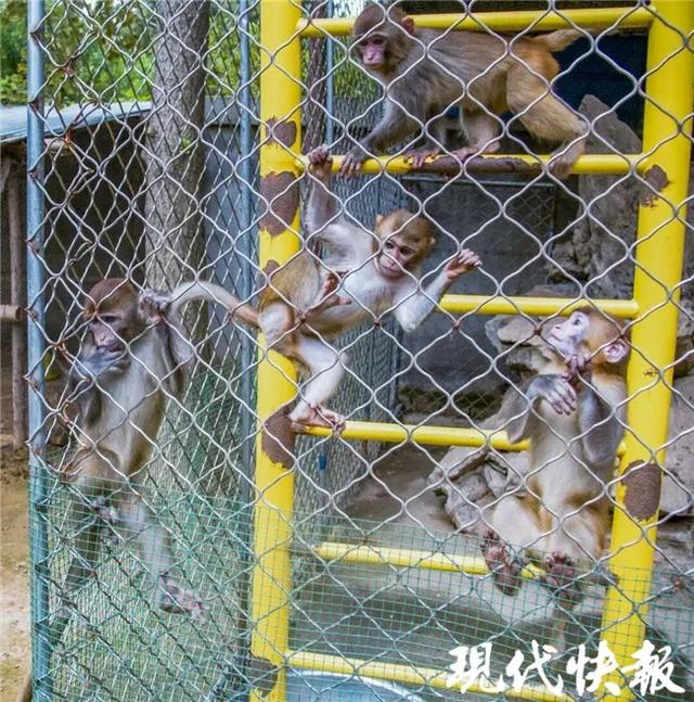 世界流浪动物日，世界环境日所有人（国际流浪动物保护日）