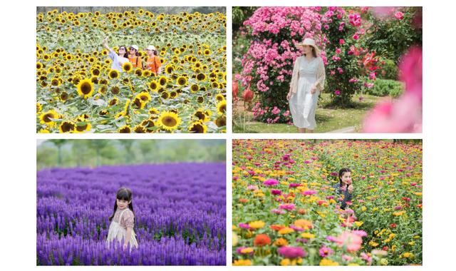 金坛茅山景点介绍，金坛茅山人气爆棚