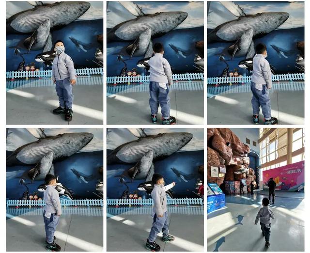 天津海昌极地海洋公园旅游攻略，带着孩子去看鱼