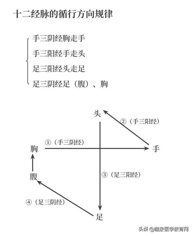 十二经络循行路线，十二经脉循行走向与交接规律图解（<十分钟教你终生不忘）