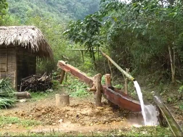 吉祥什么岁岁平安，猪年天天好运来围绕