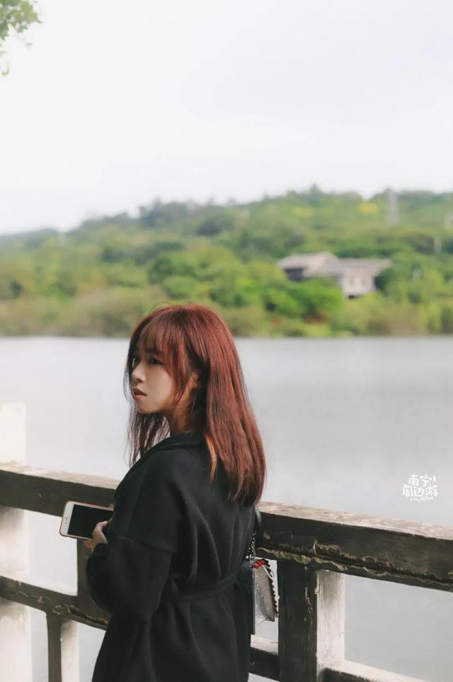 南宁附近花海景点推荐，南宁这几处花海，美了