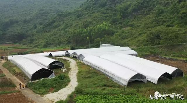 高精度卫星地图，卫星地图高清分辨率（城市高精地图应用开启）