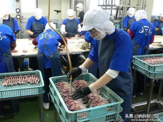 赴日工作的几种签证类型，赴日工作的几大常见工作签证