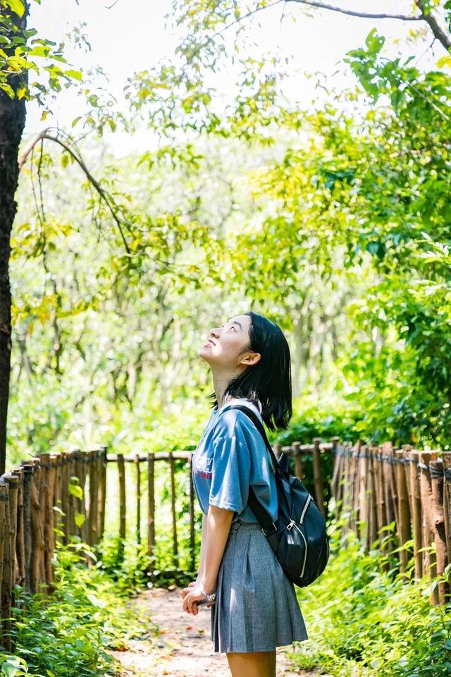 深圳游玩攻略必去的地方免费，7个遛娃好去处全免费