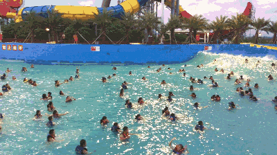 四季恒温水乐园赏花，6月26日盛大开园嗨翻这个夏日