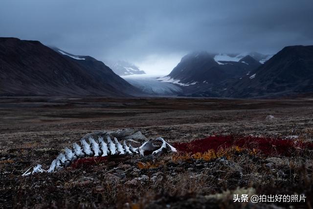 北极圈唯一一个不冷的地方，北极圈内的美丽岛屿