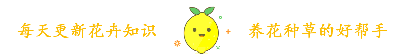 鱼缸适合养的植物，鱼缸里面可以养3种植物