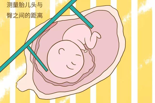 b超结果怎么看，教你怎么看懂b超单（肝病医生帮你快速入门）