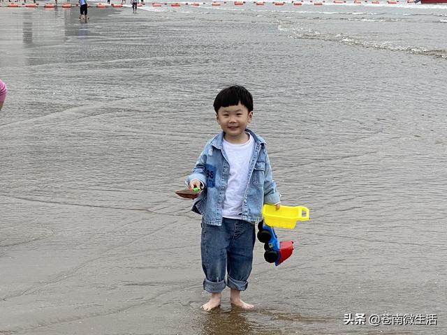 苍南渔寮吃住行玩疗，苍南渔寮沙滩在哪里