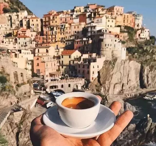 印尼顶级麝香猫咖啡，除了麝香猫咖啡