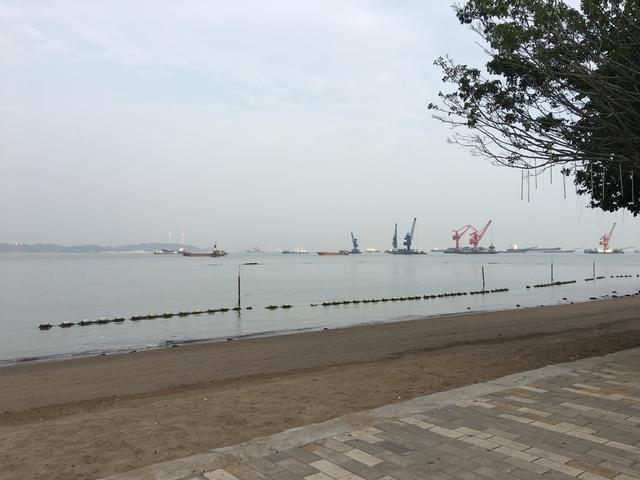 广州哪里可以看海，广州旅游看海的地方（广州这些“无敌海景”碧道藏不住了）