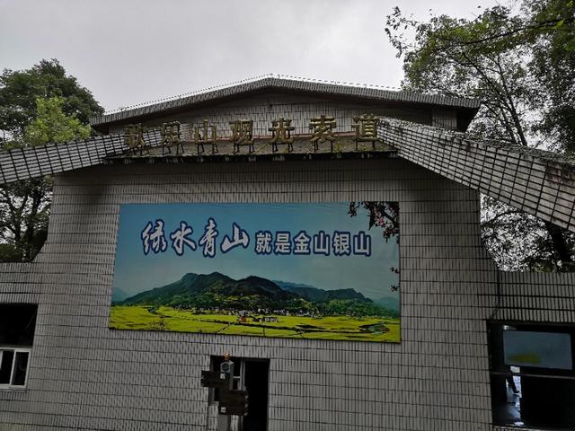 歌乐山森林公园，重庆旅游必去景点（歌乐山国家森林公园）