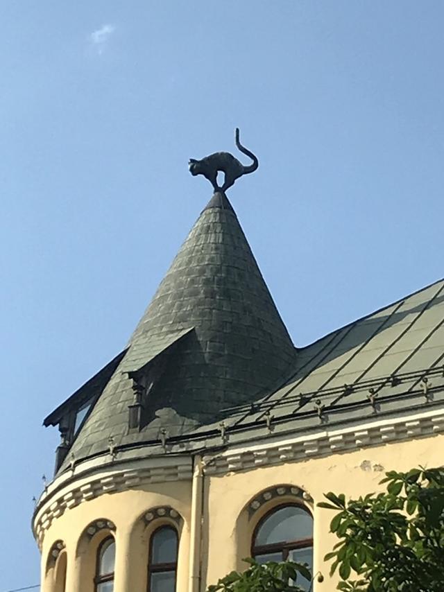 拉脱维亚有哪些国家，拉脱维亚你不知道的国家冷知识