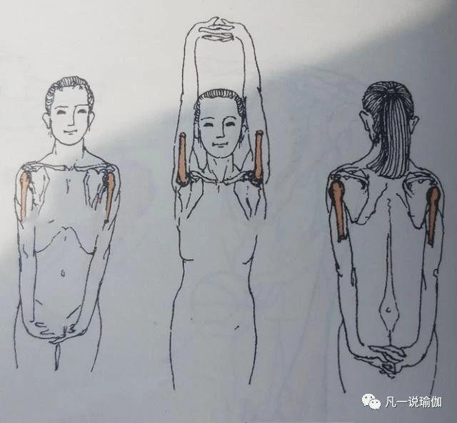 自己怎么开肩效果最好，上来就盲目开肩