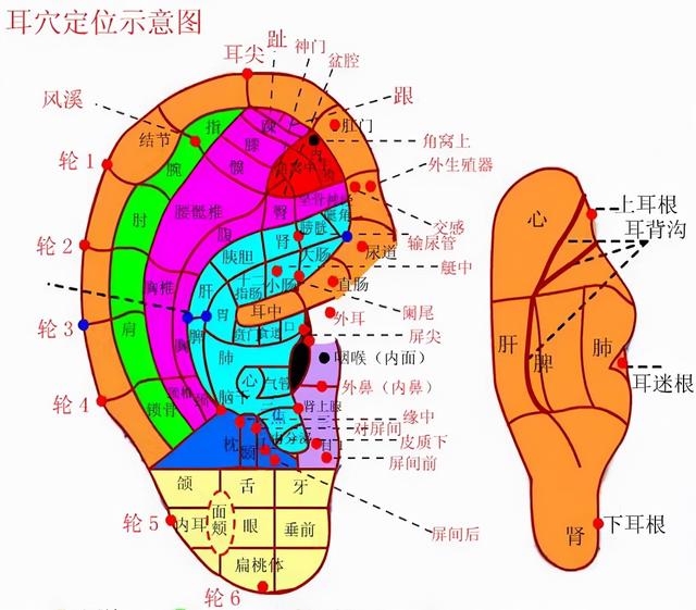 肺炎咳痰示意图，根据痰液颜色分辨肺炎类型