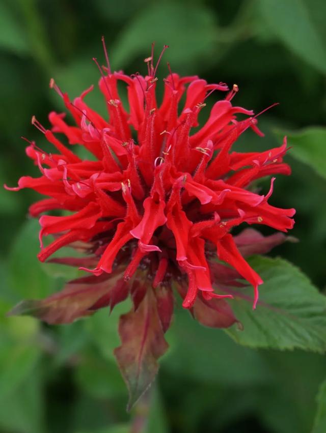 北京必玩景点排名，北京必玩的十个景点排名榜单（北京最值得去的12个景区）