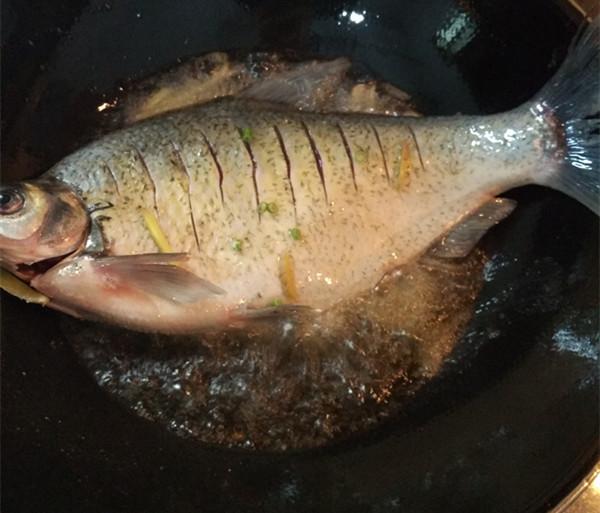 红烧鳊鱼的家常做法，红烧鳊鱼的做法第一美食（红烧鳊鱼最好吃做法）