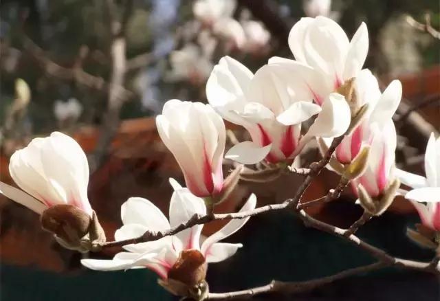 龙溪园水上乐园门票，沈阳周边旅游二日游