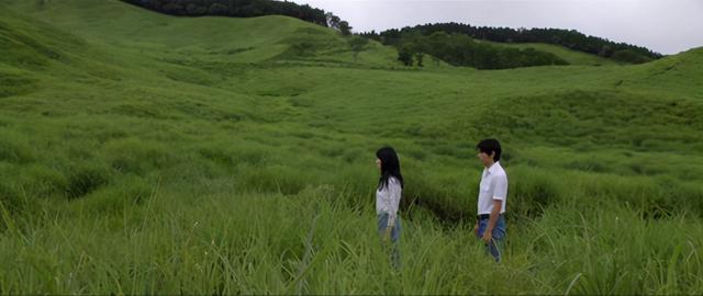 木月为什么自杀，真正能读懂挪威的森林