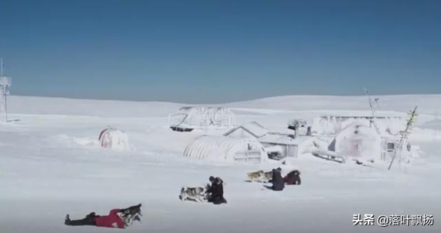 感动全球的几大狗狗电影，感动全球的九大狗狗电影