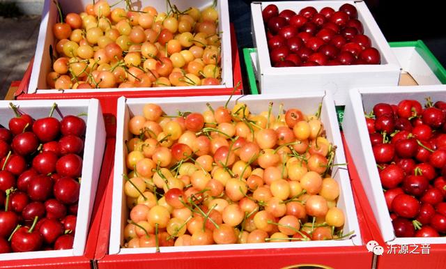 淄博当地特色美食，一座宝藏美食之城