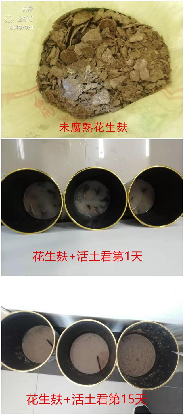 如何做养花的营养液，自制养花营养液