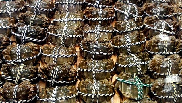 怎样挑选肉蟹质量好，老蟹农支招买蟹记住这5点