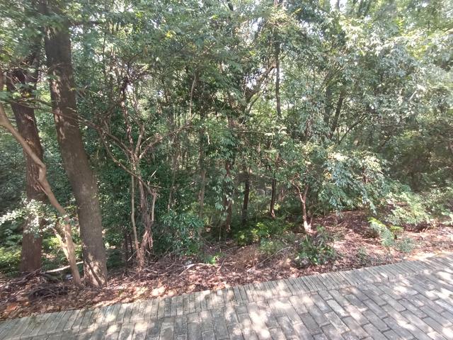 长沙市内十大公园，长沙本地人告诉你这10个地方不能少