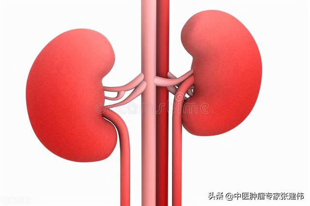 肾脏不好有哪些表现，肾不好会有这10个表现（肾不好会出现什么状况）