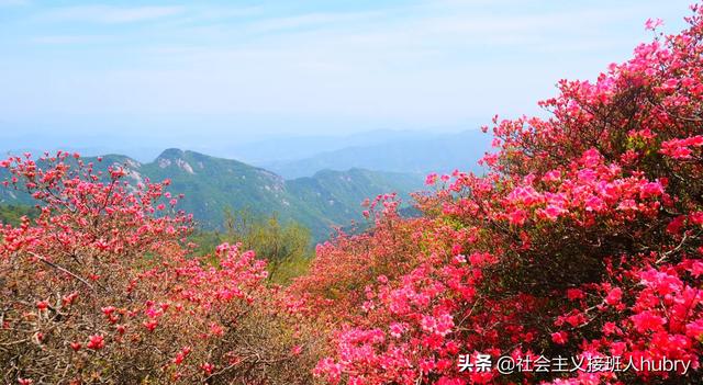 湖北麻城附近旅游景点推荐一日游，独家供稿最新全方位旅游攻略