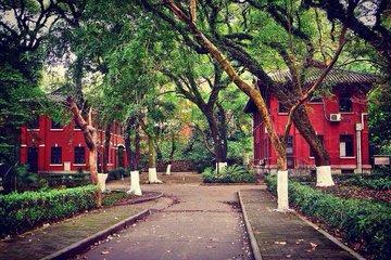 广州北京路步行街有什么好玩的，广州北京路一日游最佳路线（很多人错过这条古色古香的市井小巷）