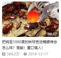 b站老番茄抓猴子游戏，单视频拿过3800万播放