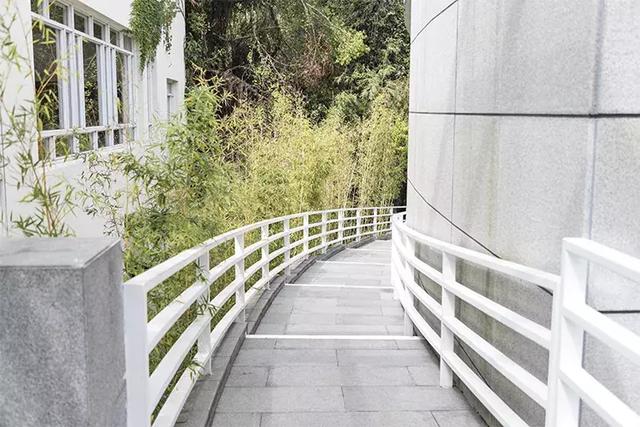 深圳美术馆推荐，深圳这个让我连跑4次的美术馆