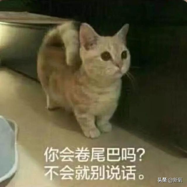李响孙骁骁公开恋情，孙骁骁李响分手原因曝光（主持人李响大婚新娘不是孙骁骁）