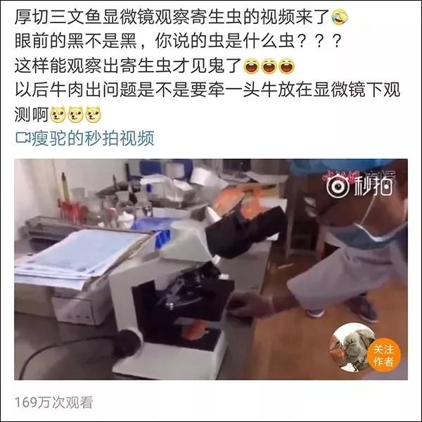 三文鱼和虹鳟鱼的区别看外观，连农国栋师傅都弄错的问题