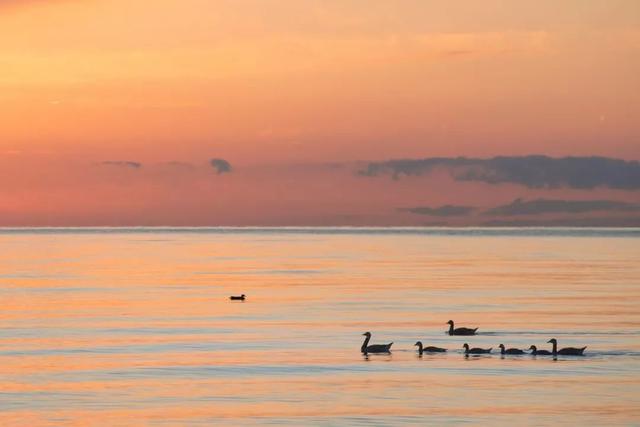 滕王阁序烂大街了吗，生僻却美到爆的古诗句（俗气烂大街的流行语）