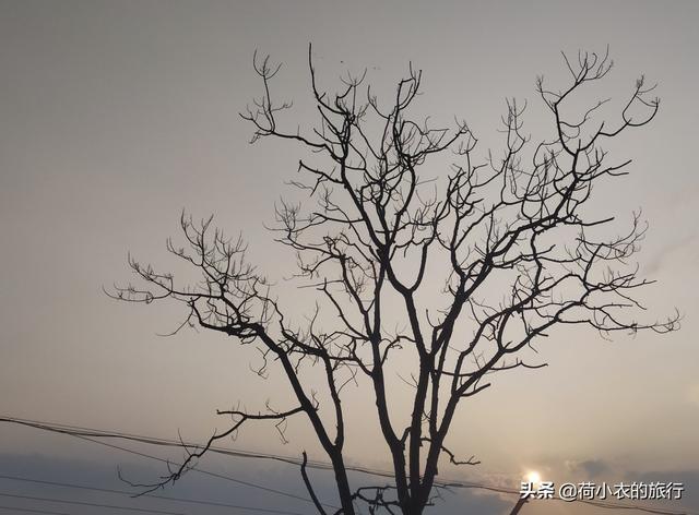上海周边便宜的养老地方，住在普陀这个市级老年友好型社区是怎样一种体验