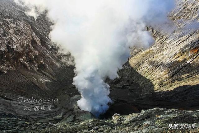 世界上的主要火山带分布在哪里，在全球四大火山带之一