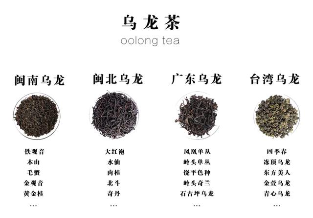 大桶乌龙茶饮料，桔品课堂你不知道的闽南乌龙