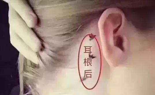 皮肤过敏用什么化妆品，抗敏修护保湿护肤品排行榜10强