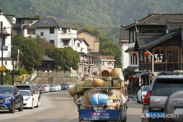 正宗西湖龙井茶园，杭州著名的龙井茶村