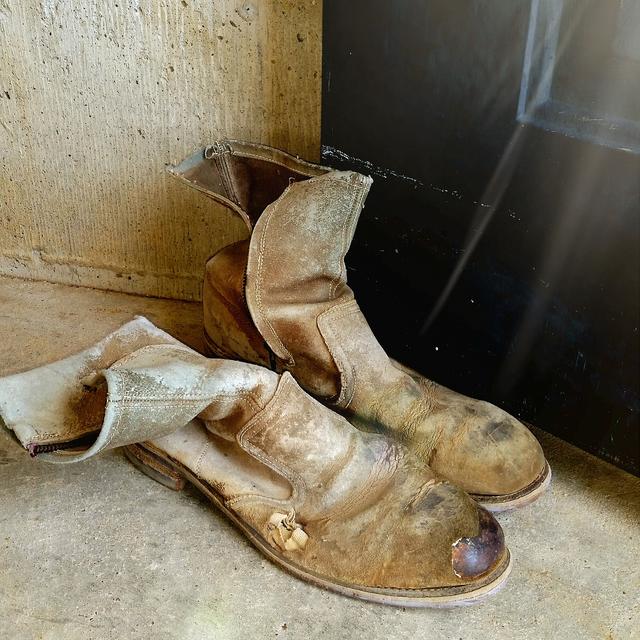 三种颜色的灵符，欧美文化中的迷信以及常见的幸运符