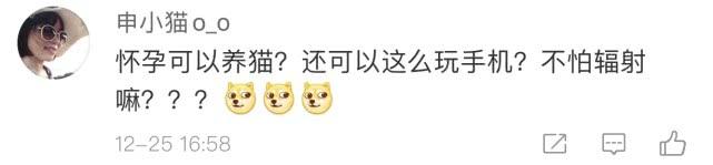 怀孕后就不能养猫了吗，这个黑锅猫主子不背