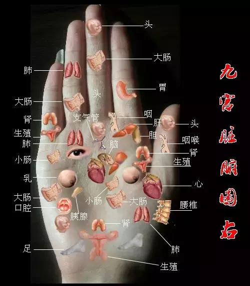 脉诊歌诀全文图解，常见脉象歌诀，你背会了吗