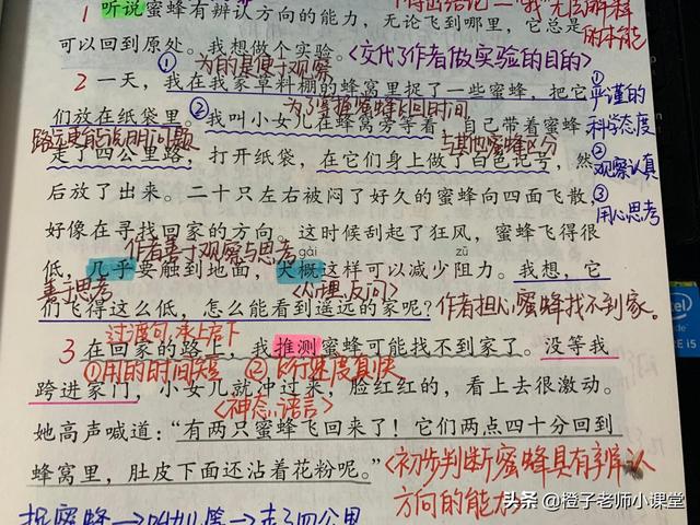 关于蜜蜂的知识三年级，三年级课文蜜蜂（三年级关于蜜蜂的小知识）