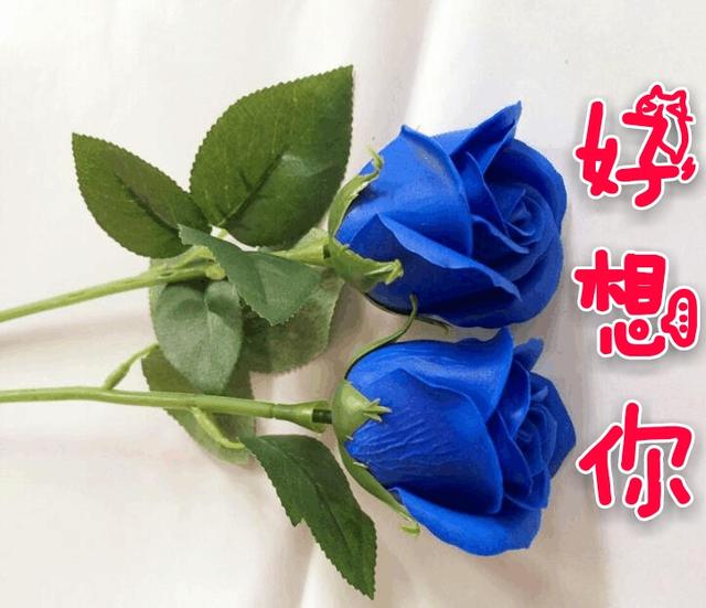 夜深的时候好想你，夜深的时候好想你想到流下泪（《夜深的时候好想你》好想你来陪）